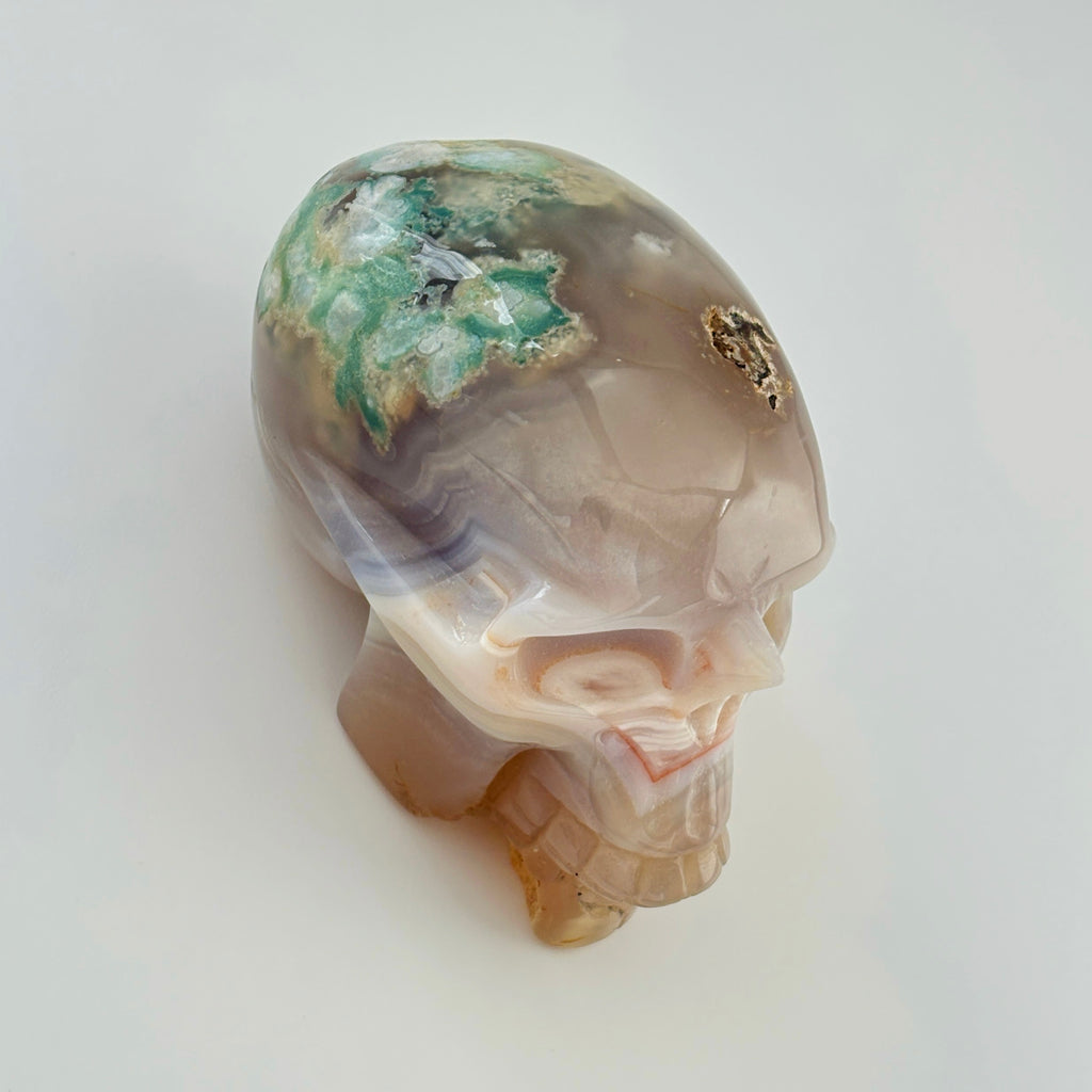 Forest Oracle Skull Green Cherry Blossom Agate Crystal Skull Meditation Healing Decor