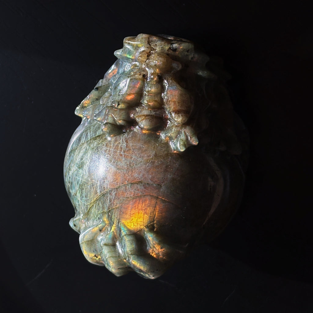 Feng Shui Guardians Labradorite Dragon Turtle Feng Shui Prosperity Statue