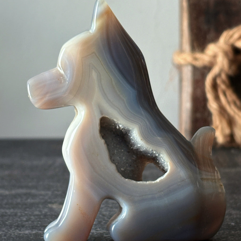 Tier III – Complimentary Gift
𝙁𝙤𝙧 𝙊𝙧𝙙𝙚𝙧𝙨 $899+ 𝙊𝙣𝙡𝙮