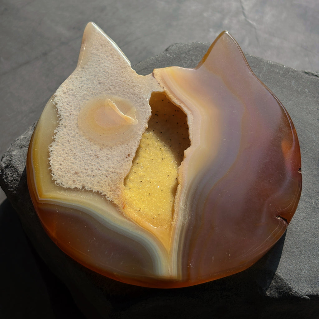 Tier III – Complimentary Gift
𝙁𝙤𝙧 𝙊𝙧𝙙𝙚𝙧𝙨 $899+ 𝙊𝙣𝙡𝙮