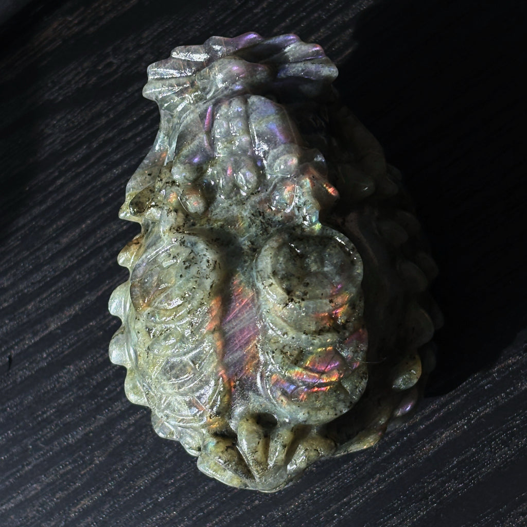 Feng Shui Guardians Labradorite Dragon Turtle Feng Shui Protection Statue
