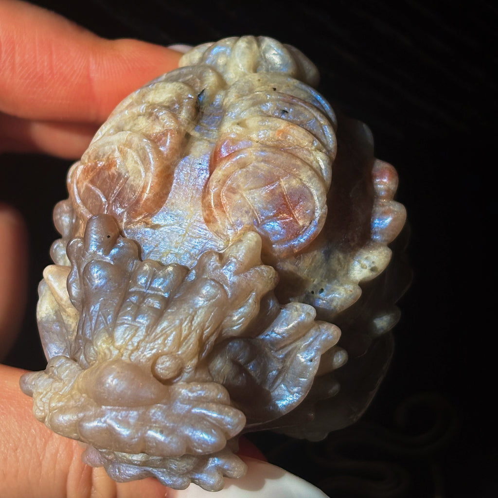 Feng Shui Guardians Sunstone Moonstone Dragon Turtle Feng Shui Prosperity Statue