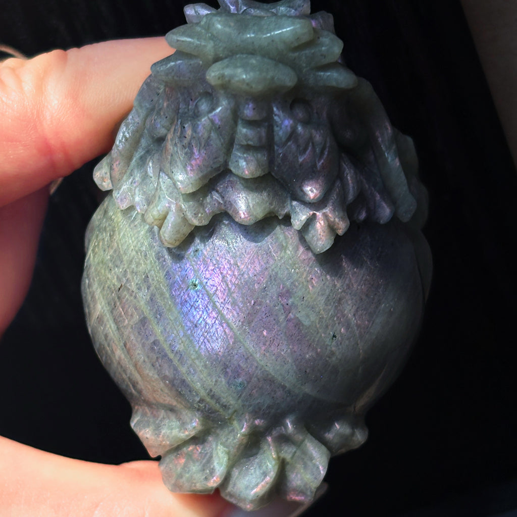 Feng Shui Guardians Labradorite Dragon Turtle Feng Shui Prosperity Statue