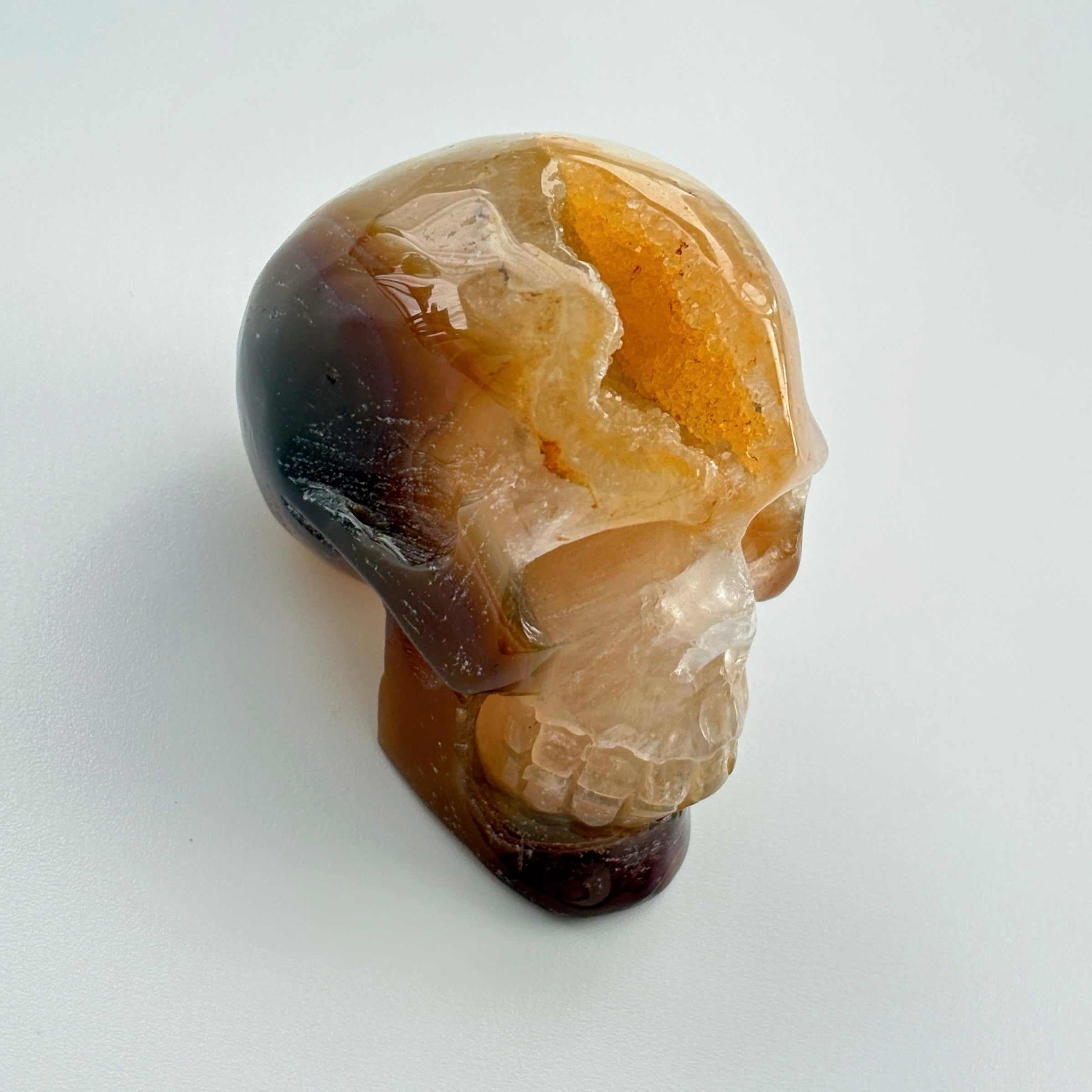Solar Mind Skull Golden Agate Crystal Skull Solar Plexus Confidence Focus Energy