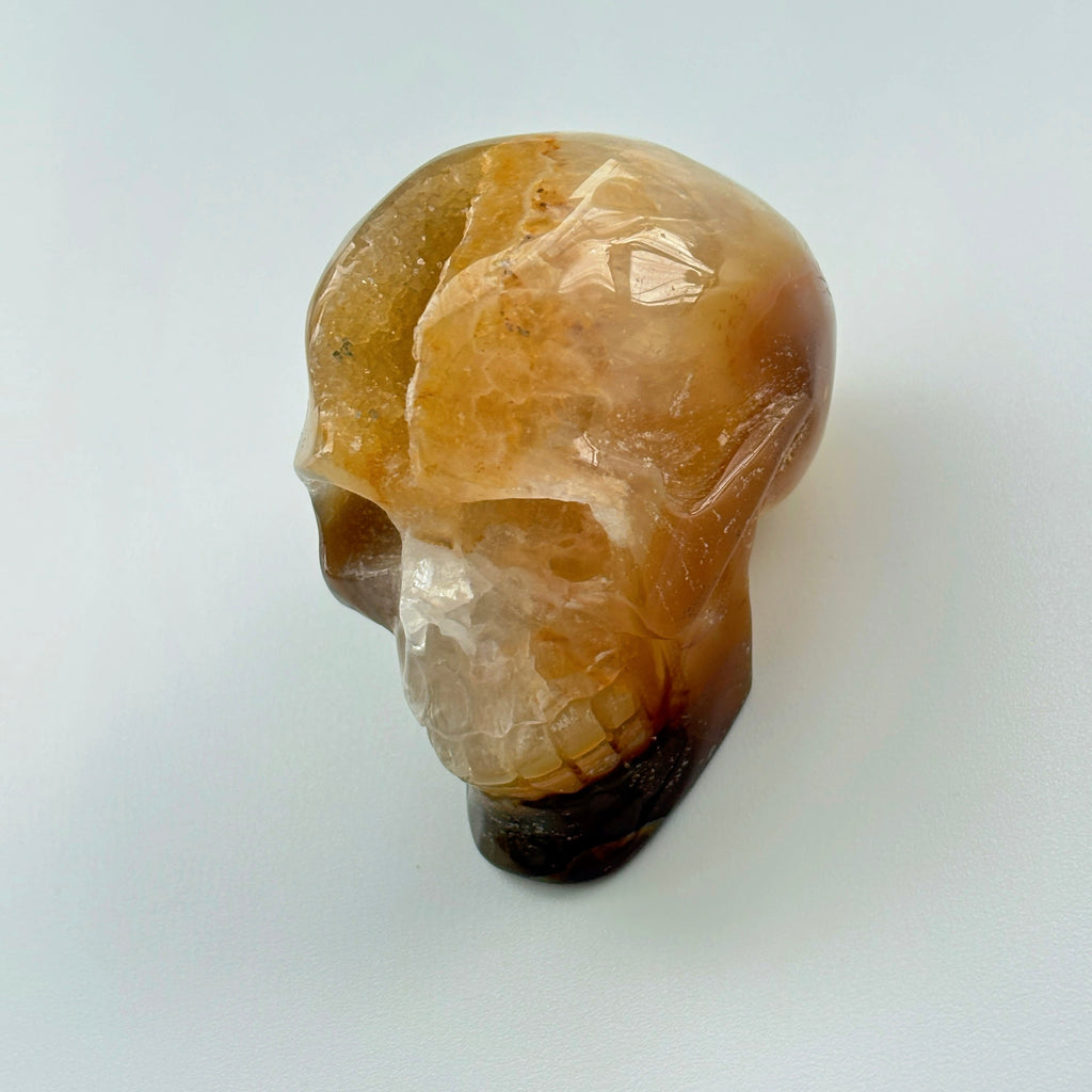 Solar Mind Skull Golden Agate Crystal Skull Solar Plexus Confidence Focus Energy