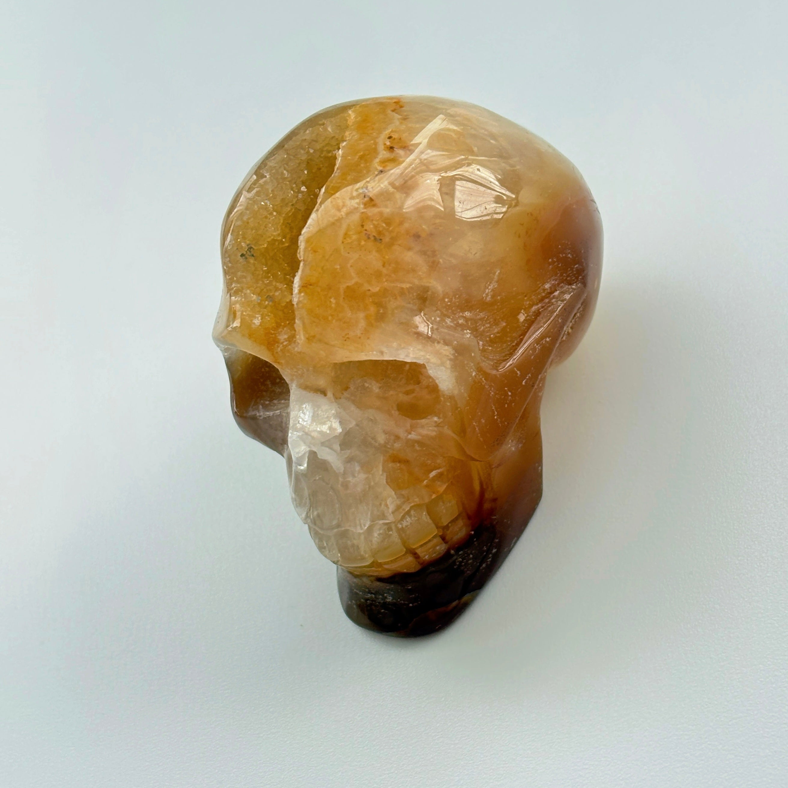 Solar Mind Skull Golden Agate Crystal Skull Solar Plexus Confidence Focus Energy
