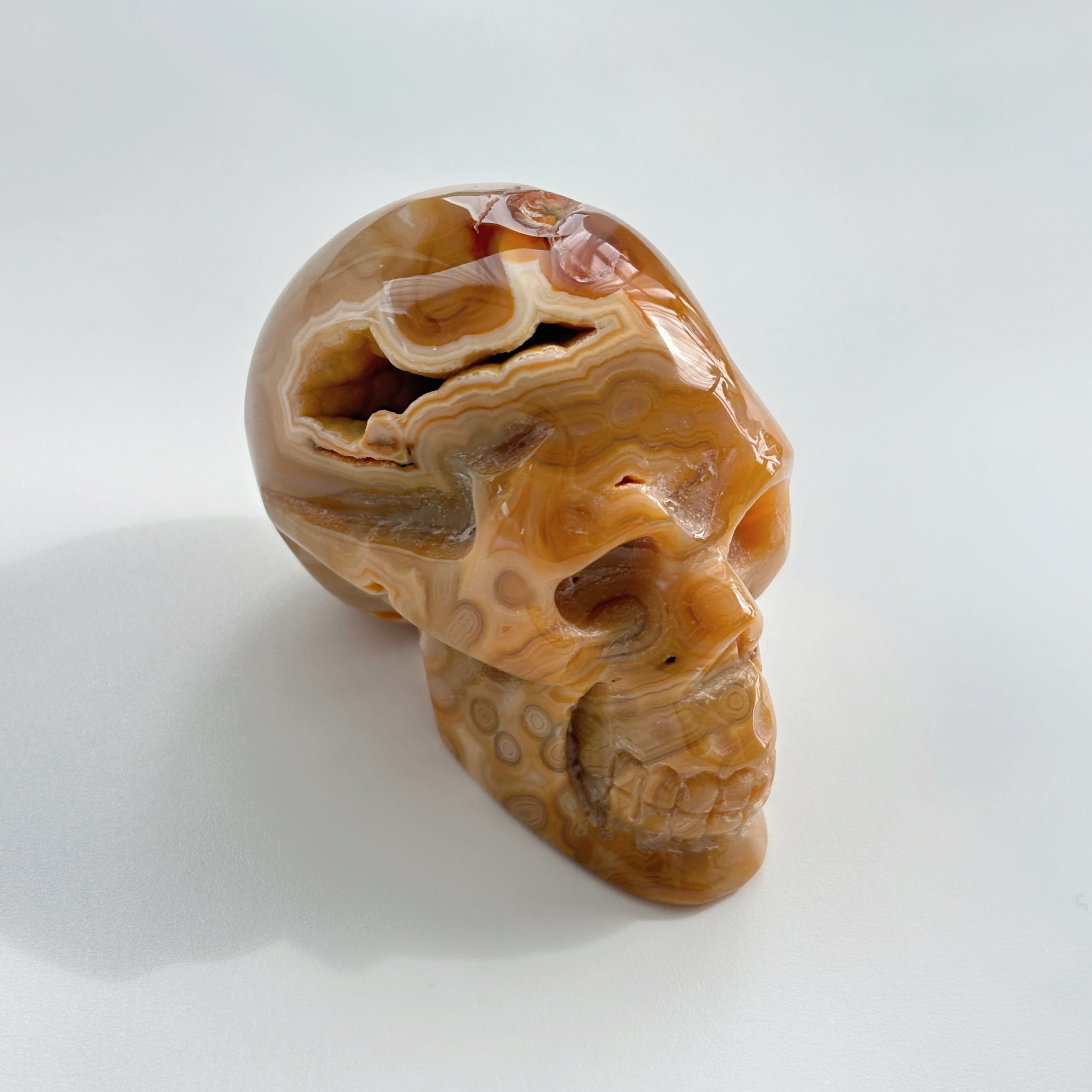 Solar Mind Amber Agate Skull Decor Healing Awakening & Higher Consciousness