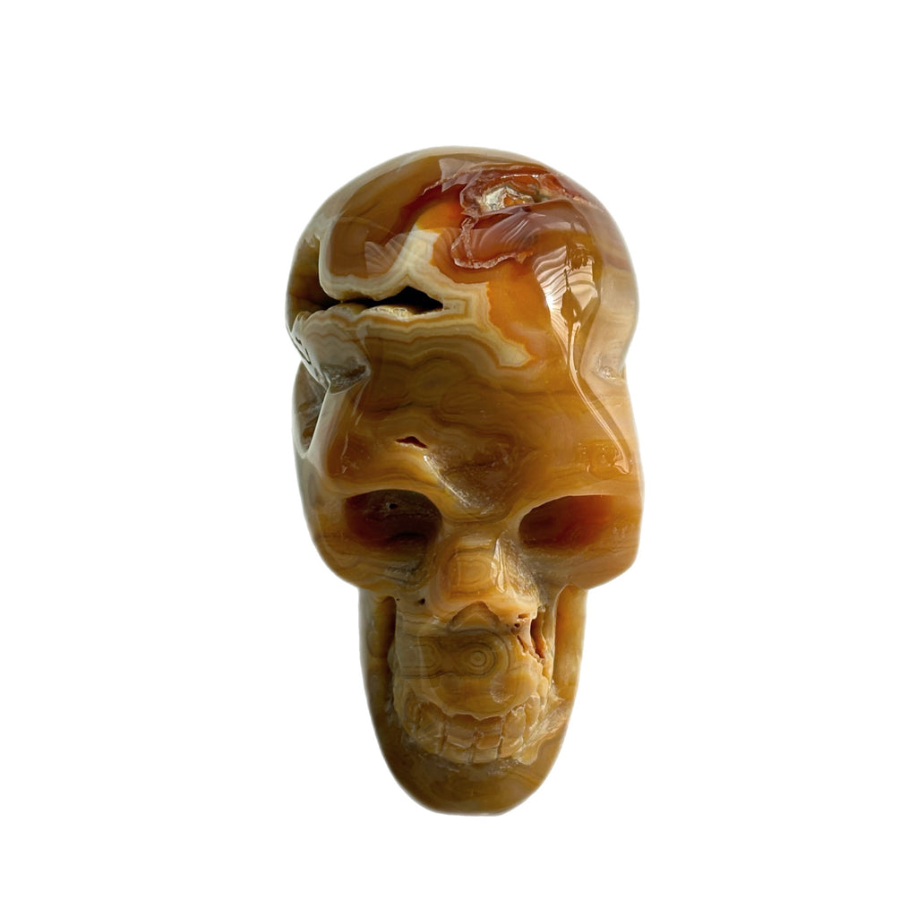 Solar Mind Amber Agate Skull Decor Healing Awakening & Higher Consciousness