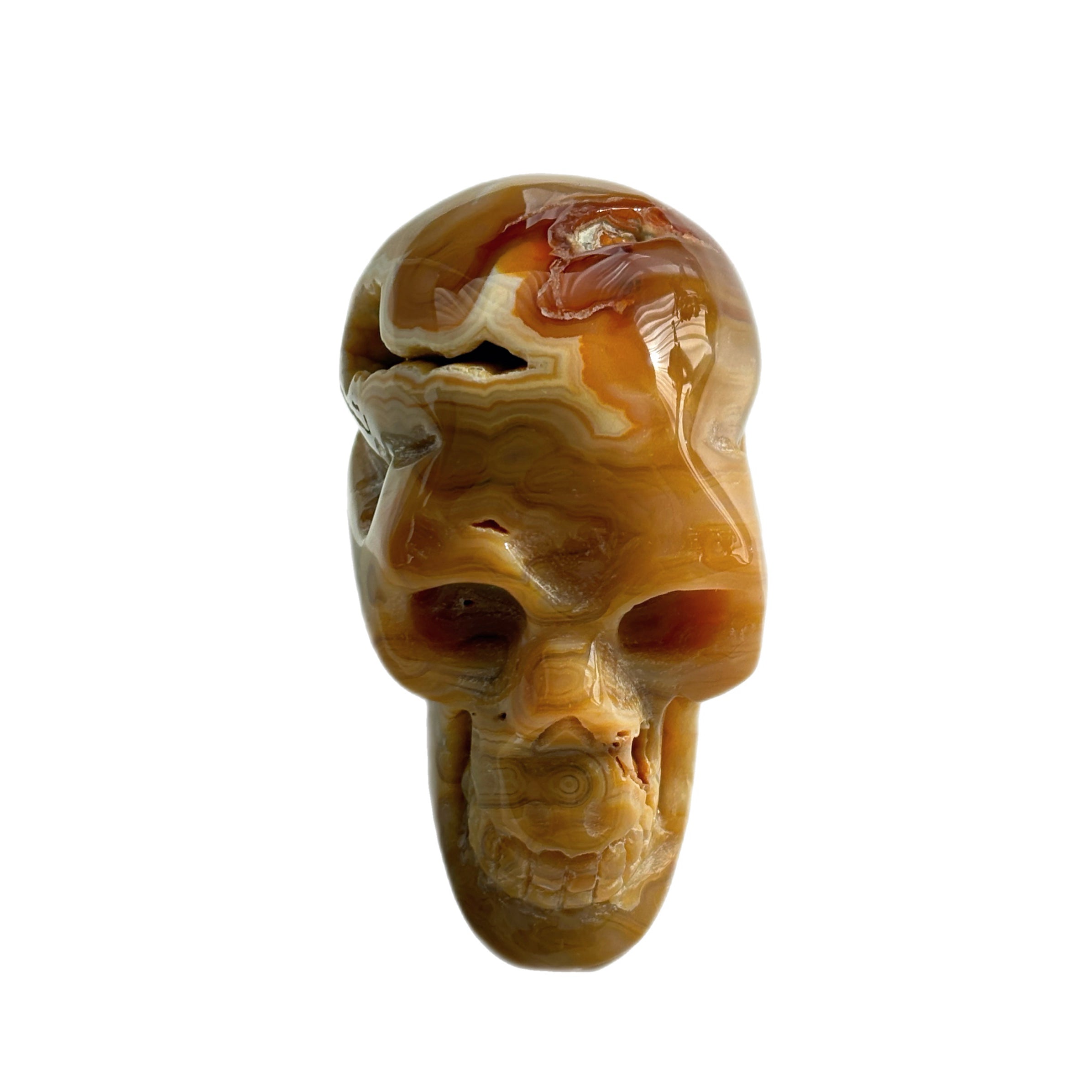 Solar Mind Amber Agate Skull Decor Healing Awakening & Higher Consciousness
