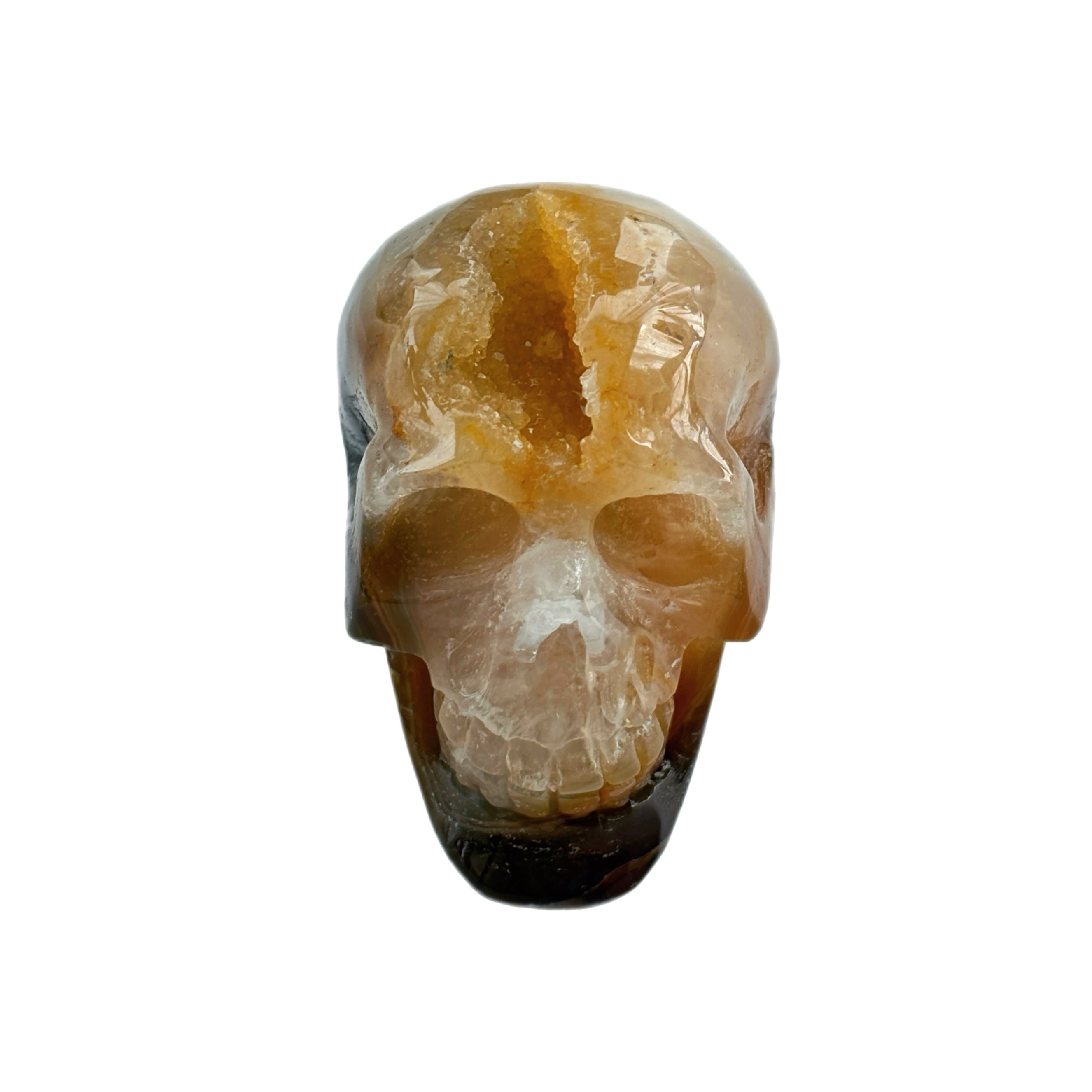 Solar Mind Skull Golden Agate Crystal Skull Solar Plexus Confidence Focus Energy