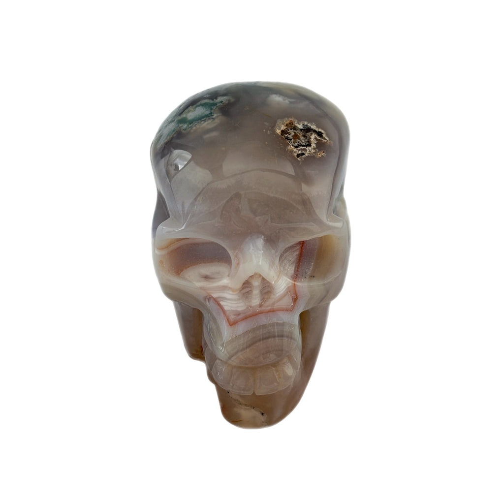 Forest Oracle Skull Green Cherry Blossom Agate Crystal Skull Meditation Healing Decor