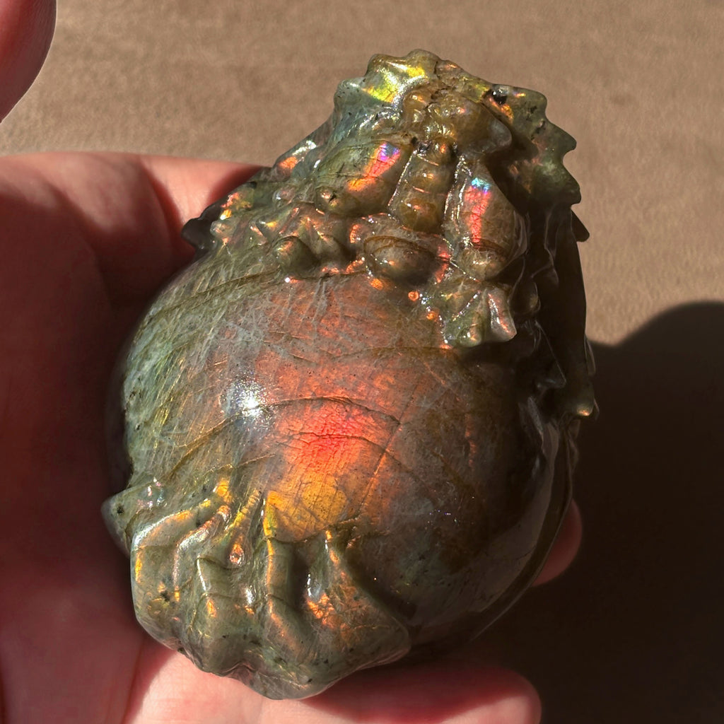 Feng Shui Guardians Labradorite Dragon Turtle Feng Shui Prosperity Statue