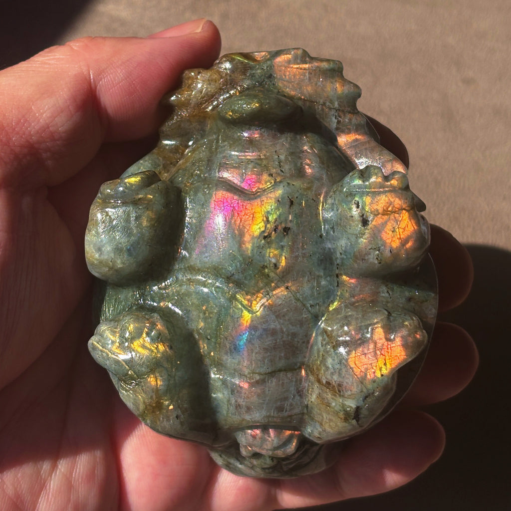 Feng Shui Guardians Labradorite Dragon Turtle Feng Shui Prosperity Statue