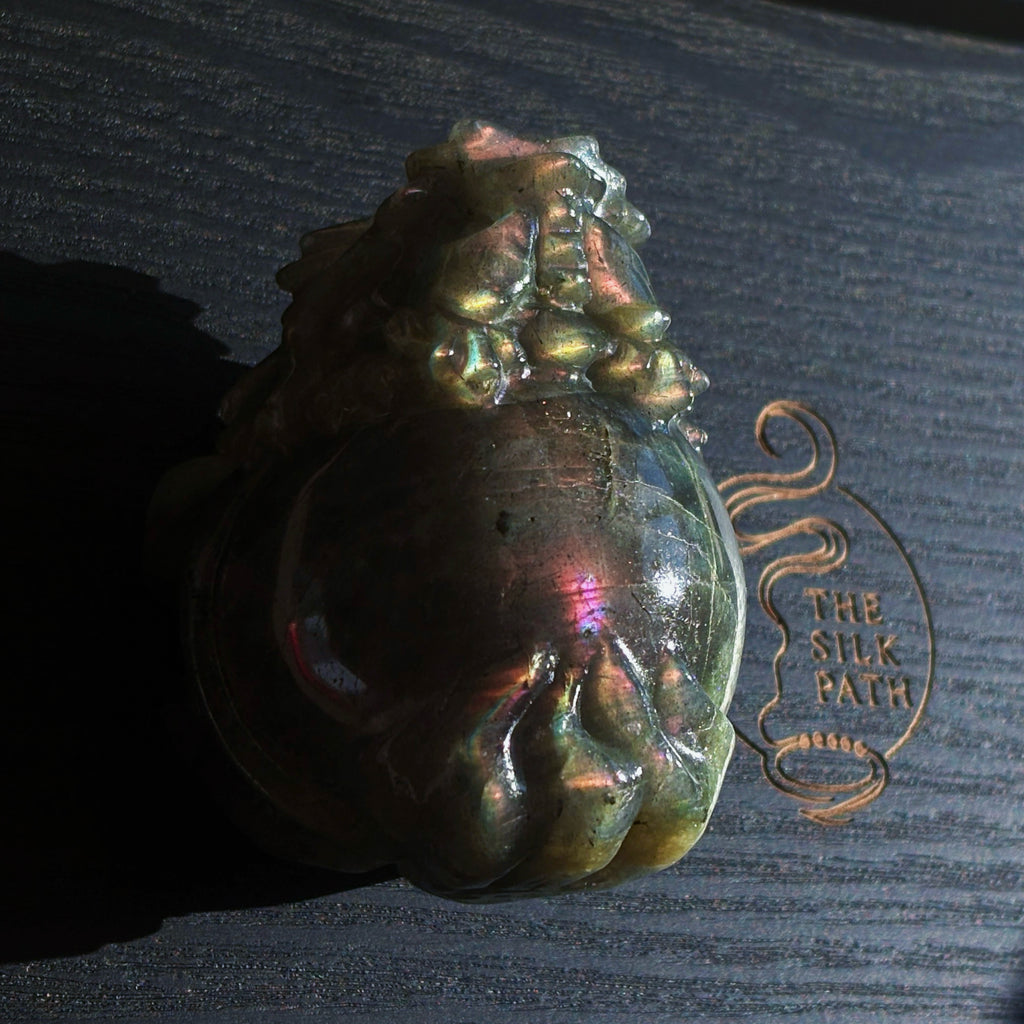 Feng Shui Guardians Labradorite Dragon Turtle Feng Shui Protection Statue