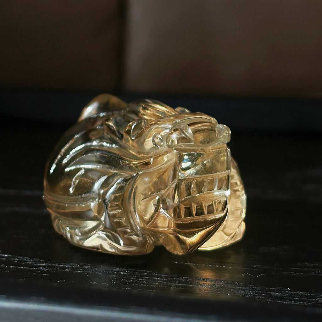 Feng Shui Guardians Smoky Quartz Dragon Turtle Feng Shui Prosperity Statue