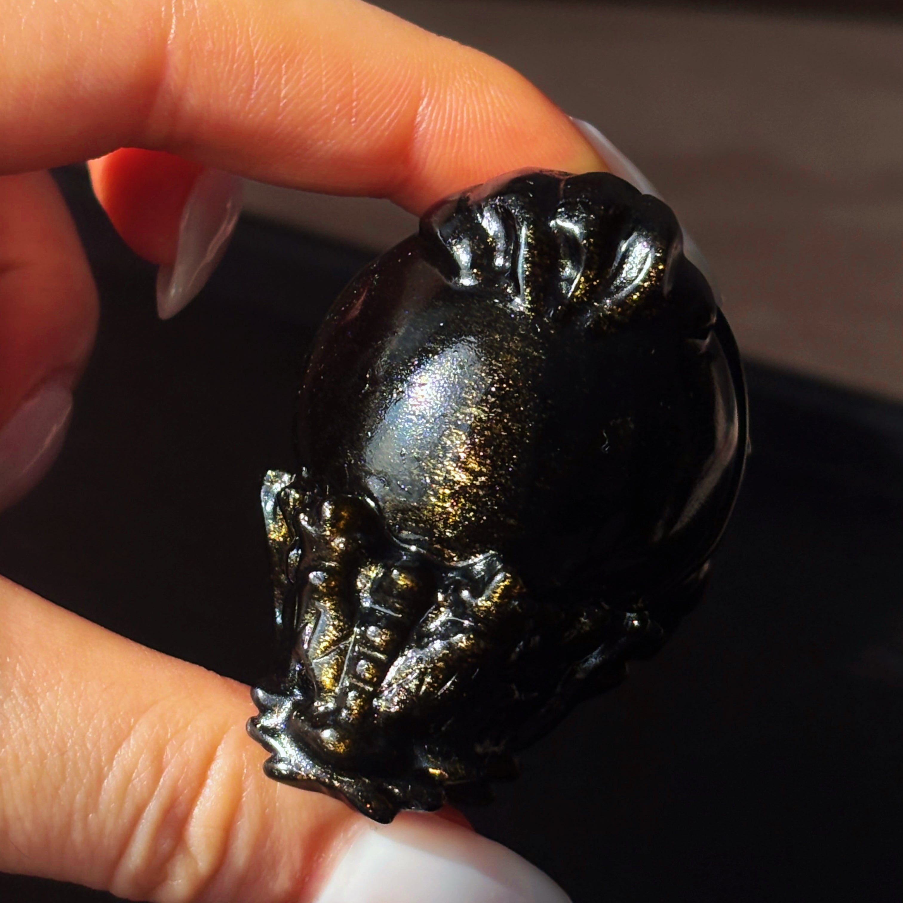 Feng Shui Guardians Gold Sheen Obsidian Dragon Turtle Feng Shui Protection Statue