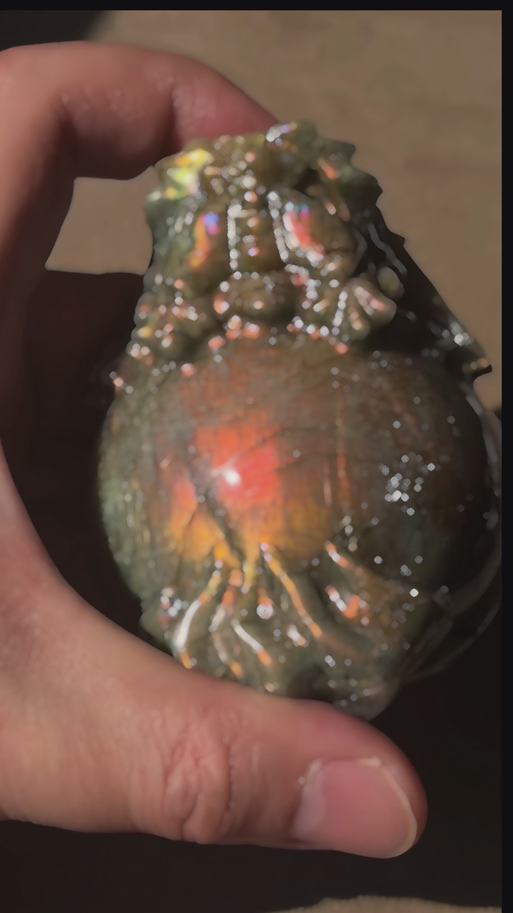 Feng Shui Guardians Labradorite Dragon Turtle Feng Shui Prosperity Statue