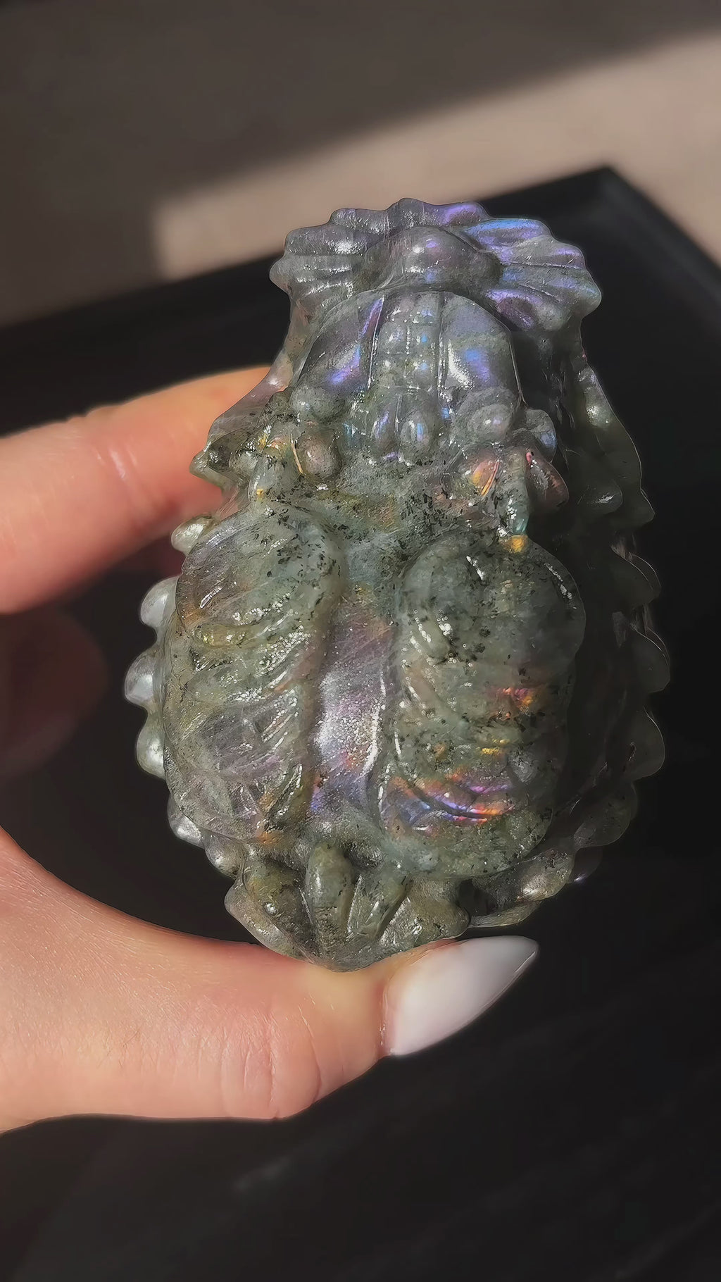 Feng Shui Guardians Labradorite Dragon Turtle Feng Shui Protection Statue