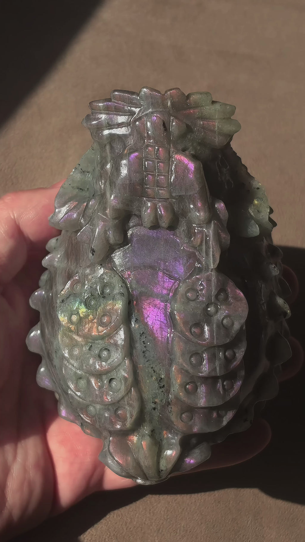 Feng Shui Guardians Labradorite Dragon Turtle Feng Shui Prosperity Statue