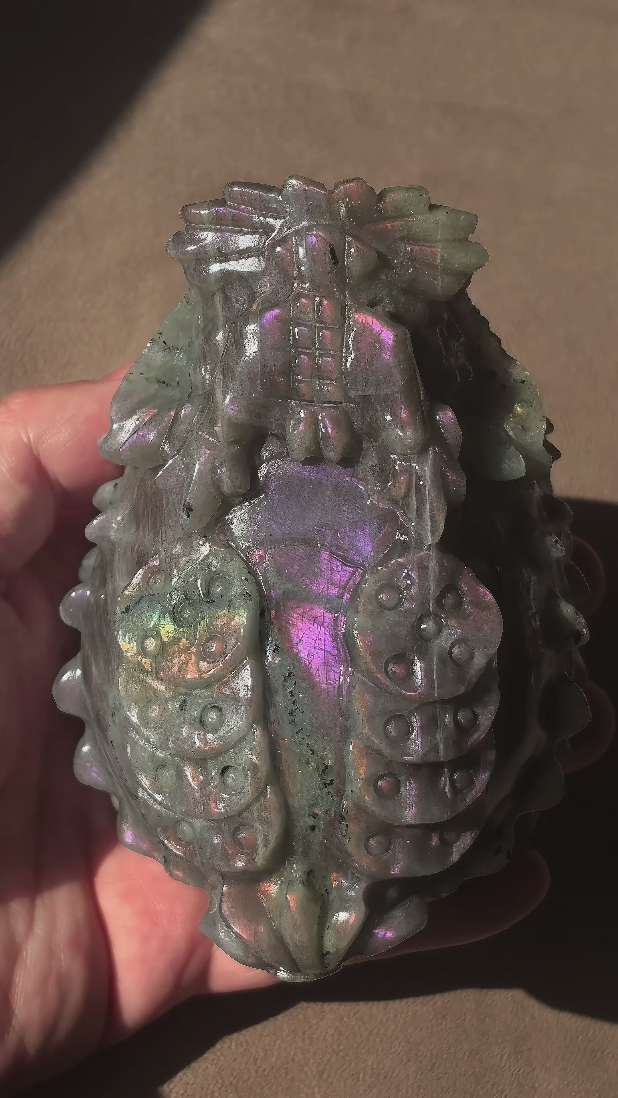 Feng Shui Guardians Labradorite Dragon Turtle Feng Shui Prosperity Statue