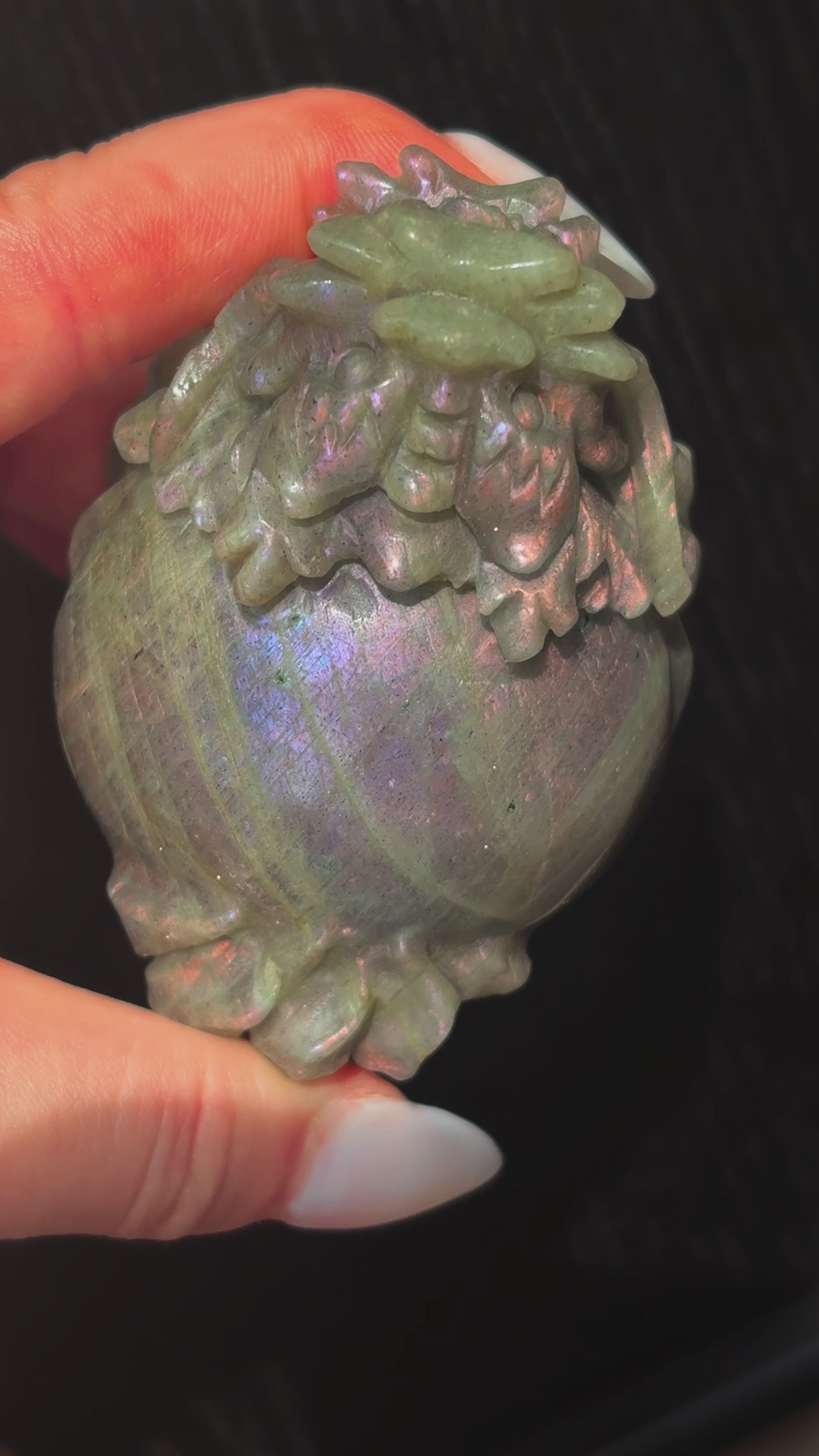 Feng Shui Guardians Labradorite Dragon Turtle Feng Shui Prosperity Statue