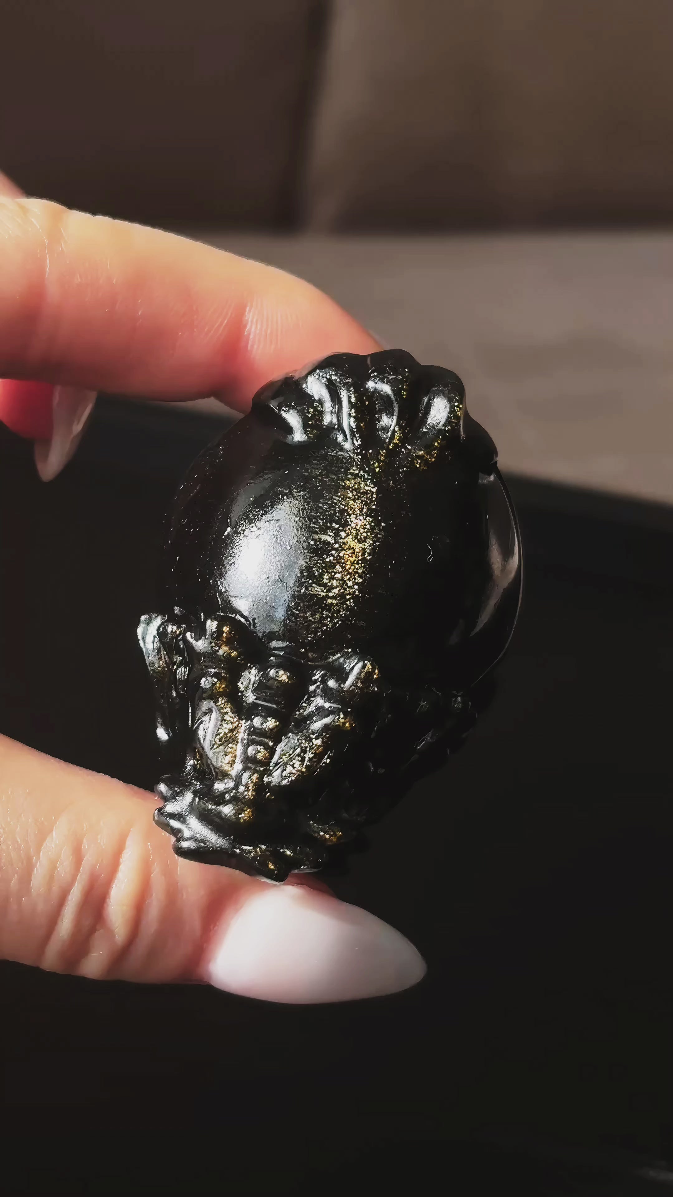 Feng Shui Guardians Gold Sheen Obsidian Dragon Turtle Feng Shui Protection Statue