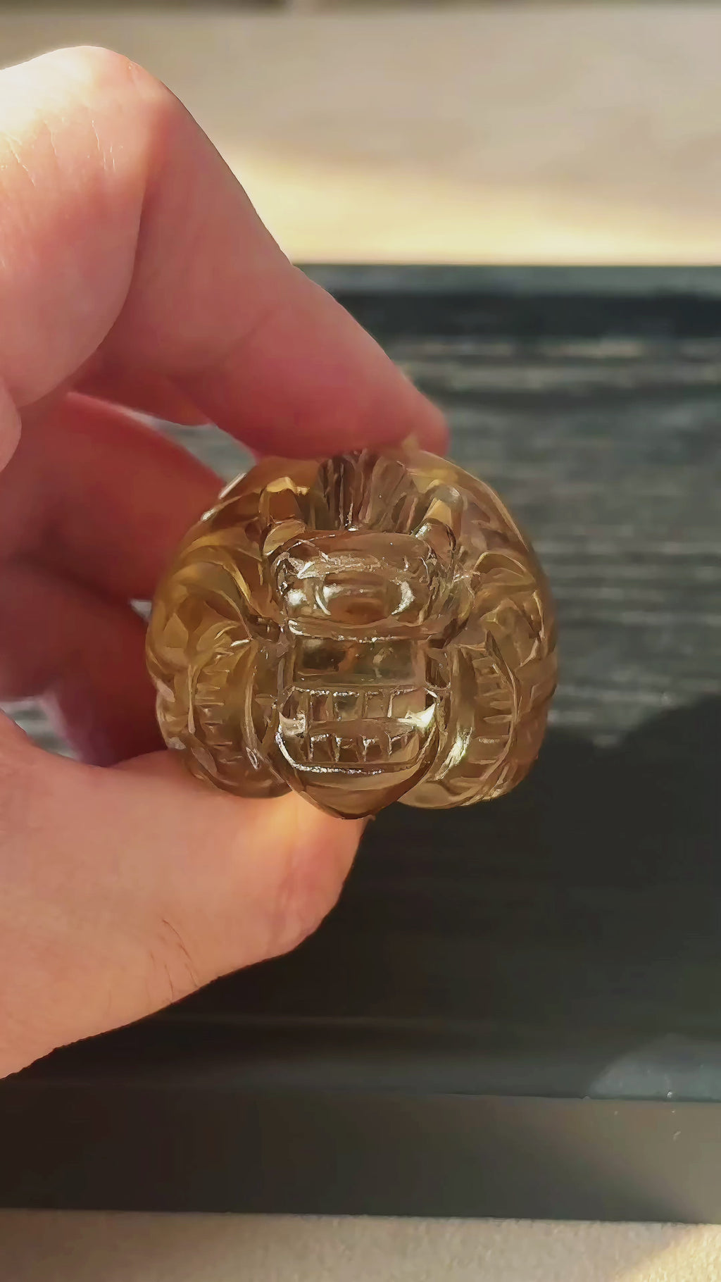 Feng Shui Guardians Smoky Quartz Dragon Turtle Feng Shui Prosperity Statue