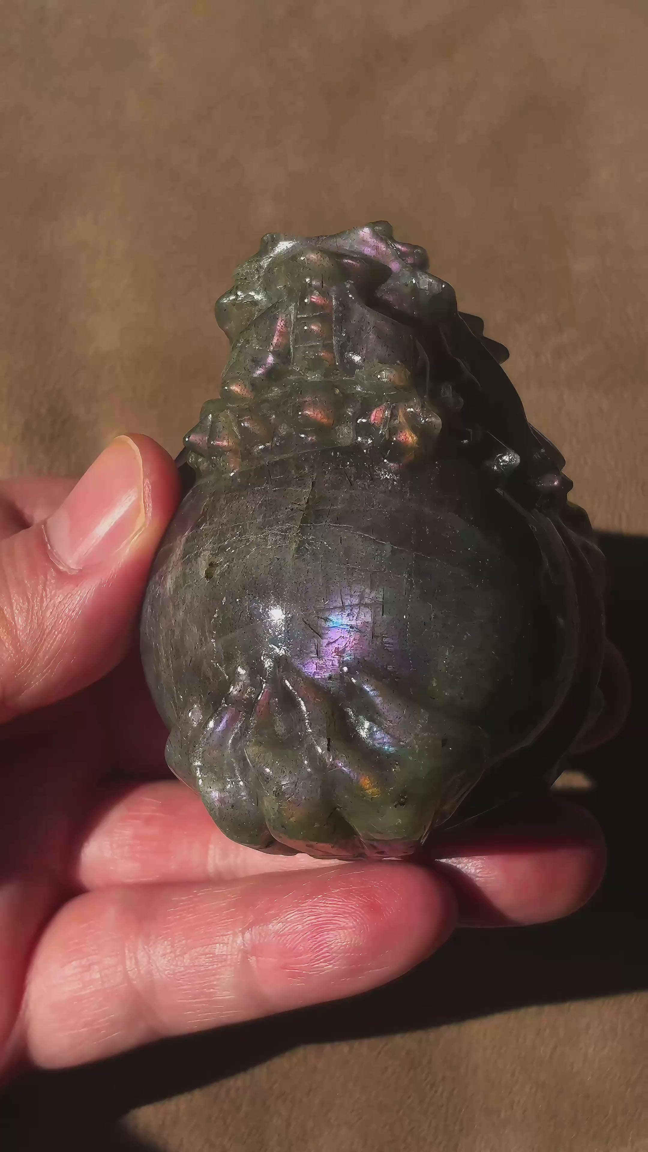 Feng Shui Guardians Labradorite Dragon Turtle Feng Shui Protection Statue