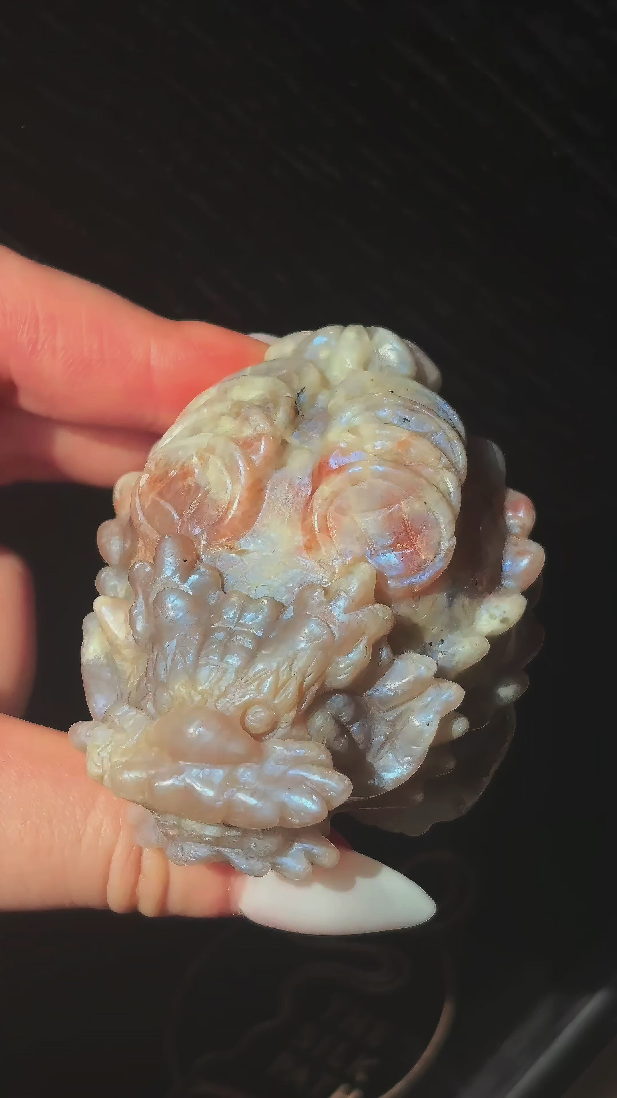 Feng Shui Guardians Sunstone Moonstone Dragon Turtle Feng Shui Prosperity Statue