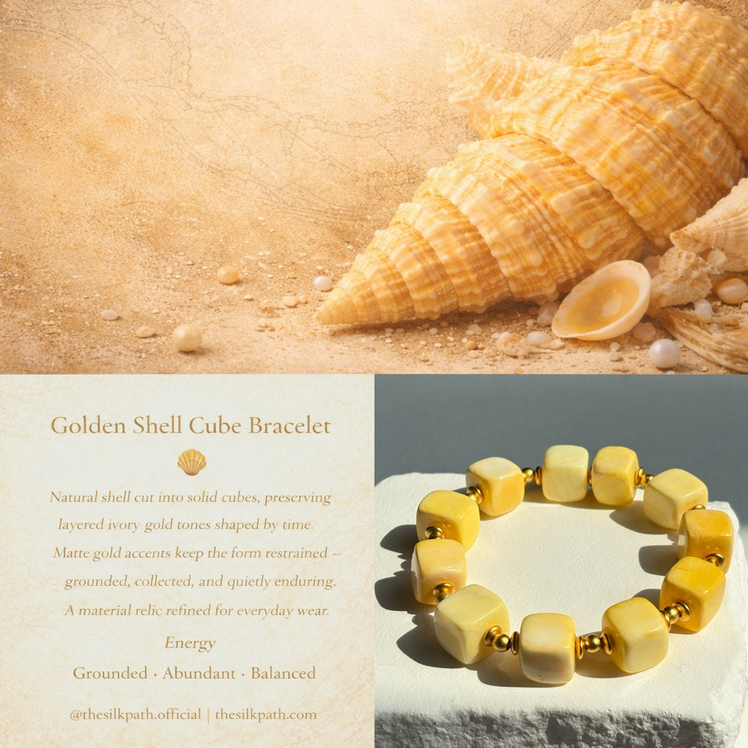 Natural shell on sand background with warm earthy tones